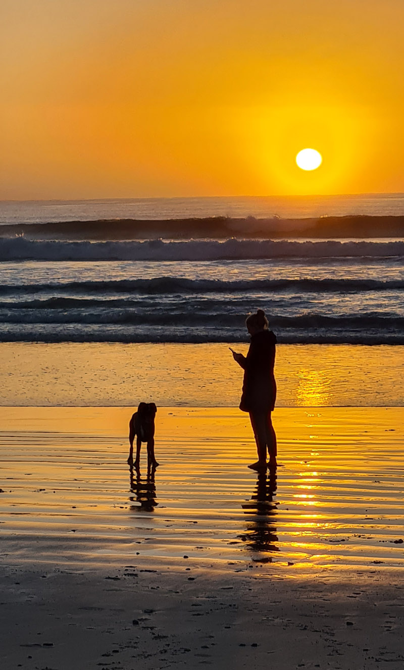 struisbaai self catering beachfront accommodation in langezandt overberg coast struisbaai self catering beachfront accommodation in langezandt overberg coast